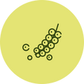 Black pepper
